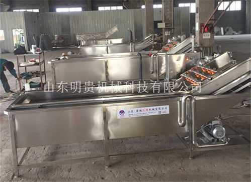 梅州氣泡清洗機(jī) 多功能氣泡清洗機(jī) 山東明貴機(jī)械 誠(chéng)信商家